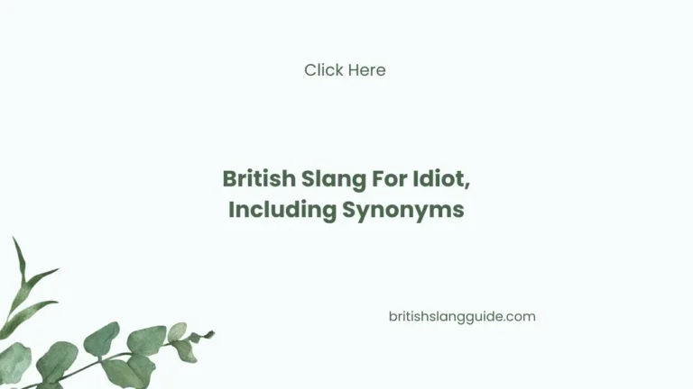 British Slang For Idiot