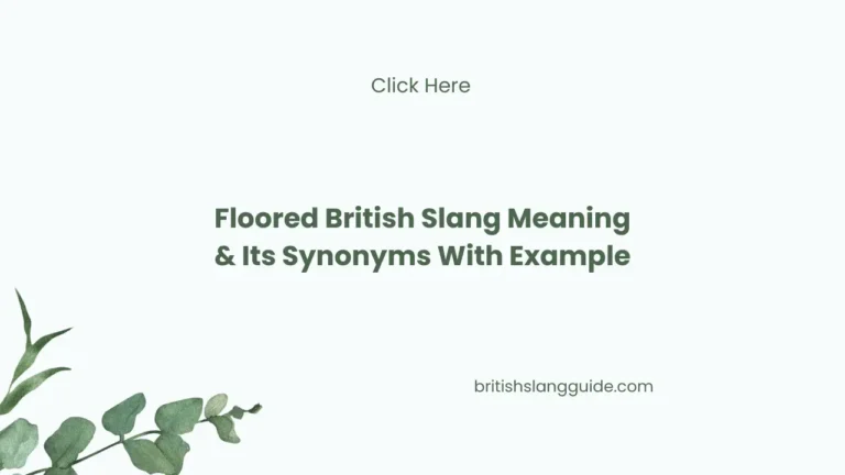 Floored British Slang