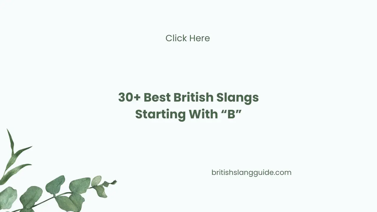 British Slangs Starting With B
