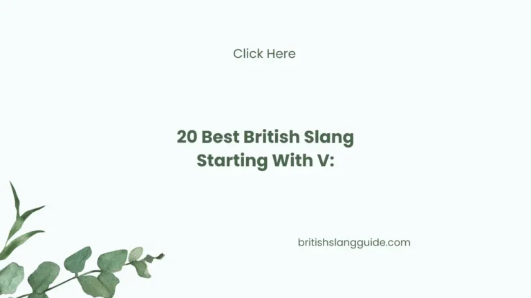 British Slangs Starting With “V”