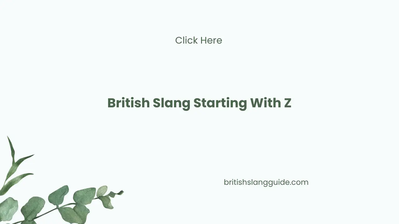 British Slang Start with Z