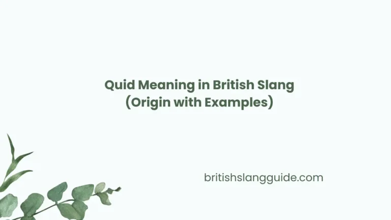 Quid Meaning in British Slang