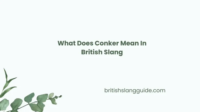 Conker Mean In British Slang