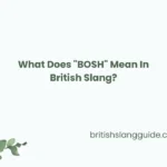 "BOSH" Mean In British Slang