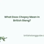 Chopsy Mean In British Slang