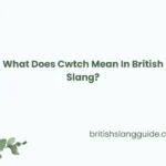 Cwtch Mean In British Slang