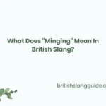 "Minging" Mean In British Slang